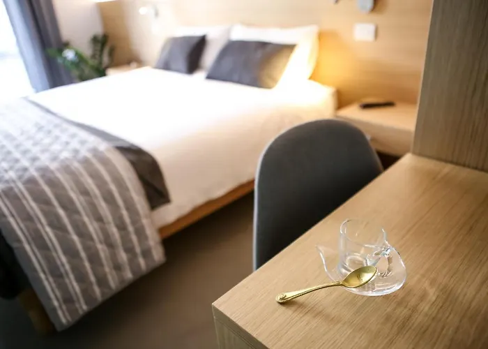 Deluxe Double or Twin Room Garden View